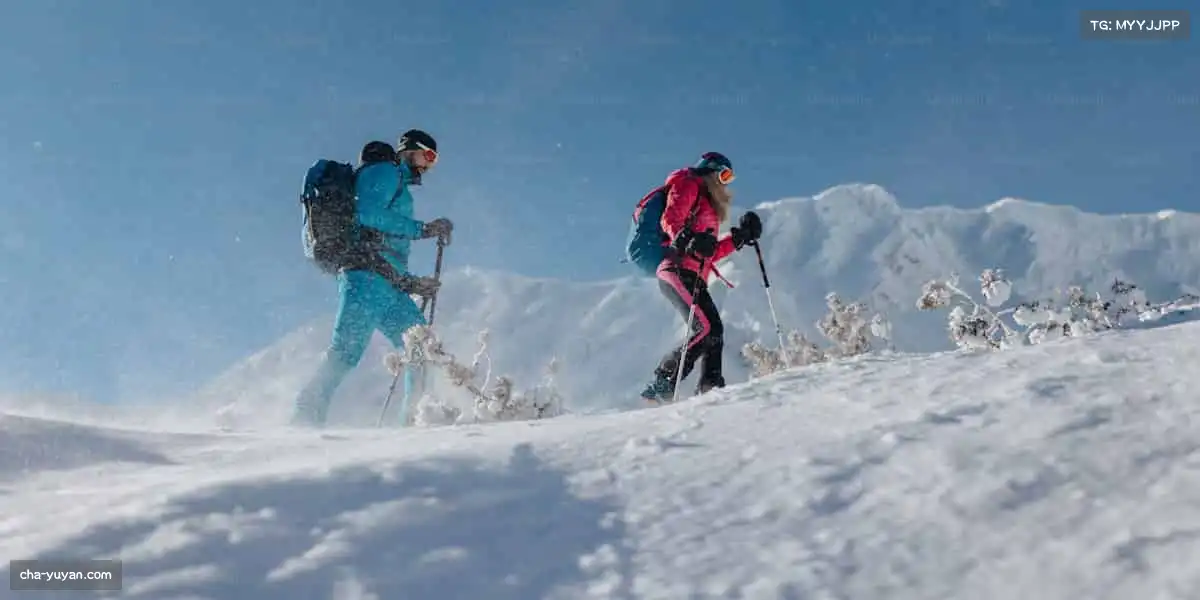 雨燕直播——全球玩家的选择，我们一直在超越自我！🌍